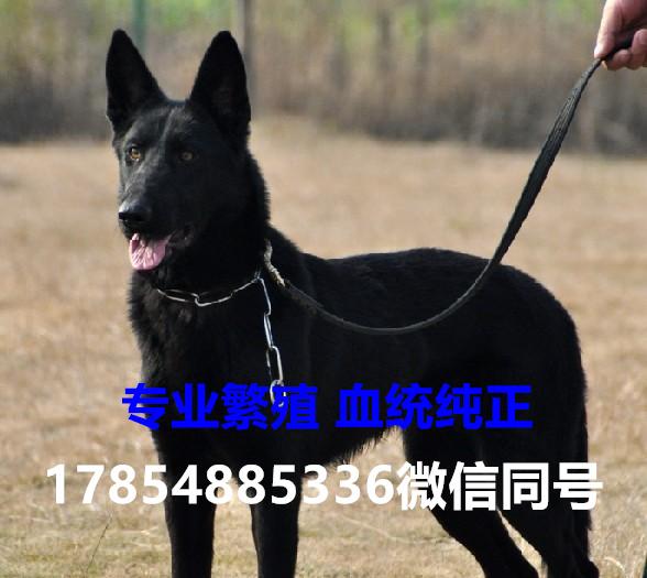 第126頁