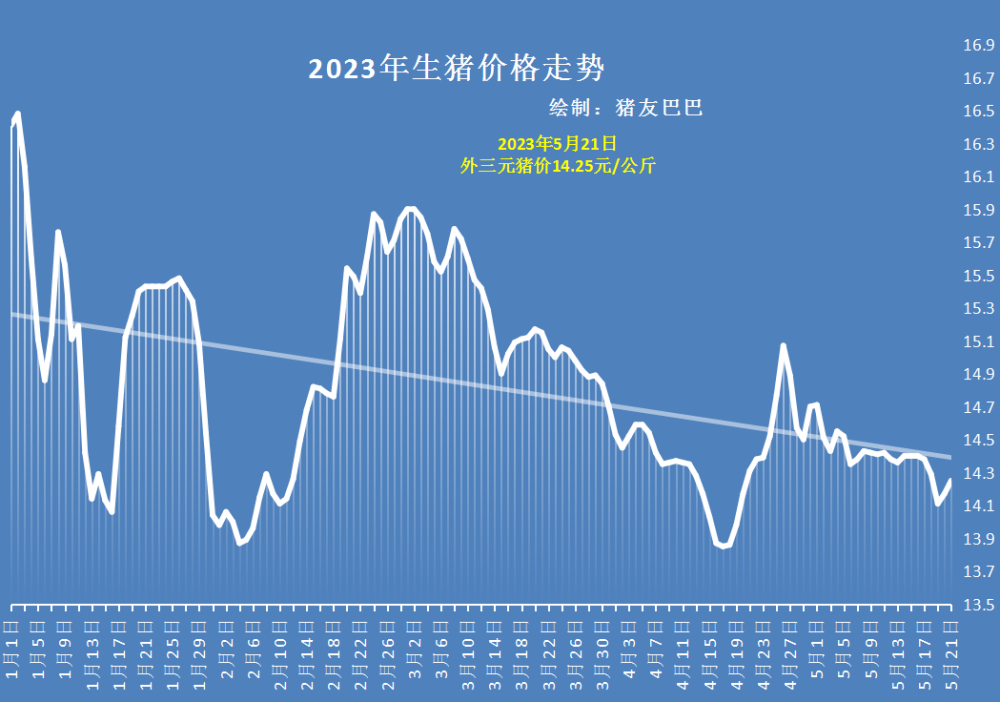 今日豬價(jià)動(dòng)態(tài)及最新走勢(shì)，變化中的機(jī)遇與挑戰(zhàn)——學(xué)習(xí)與自信的交響曲探索